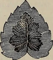An illustration from Beautiful homes : or, Hints in house furnishing (1878)