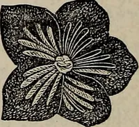 An illustration from Beautiful homes : or, Hints in house furnishing (1878)