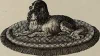 An illustration from Beautiful homes : or, Hints in house furnishing (1878)