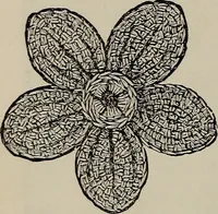 An illustration from Beautiful homes : or, Hints in house furnishing (1878)
