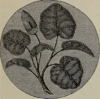 An illustration from Beautiful homes : or, Hints in house furnishing (1878)