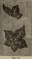 An illustration from Beautiful homes : or, Hints in house furnishing (1878)
