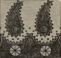 An illustration from Beautiful homes : or, Hints in house furnishing (1878)