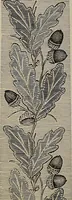 An illustration from Beautiful homes : or, Hints in house furnishing (1878)