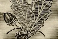 An illustration from Beautiful homes : or, Hints in house furnishing (1878)