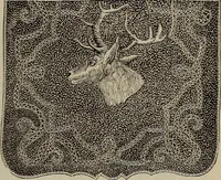 An illustration from Beautiful homes : or, Hints in house furnishing (1878)