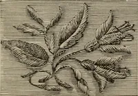An illustration from Beautiful homes : or, Hints in house furnishing (1878)