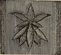 An illustration from Beautiful homes : or, Hints in house furnishing (1878)