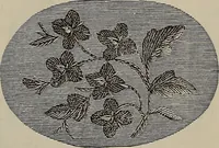 An illustration from Beautiful homes : or, Hints in house furnishing (1878)