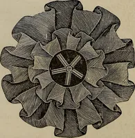 An illustration from Beautiful homes : or, Hints in house furnishing (1878)