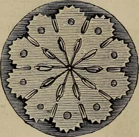 An illustration from Beautiful homes : or, Hints in house furnishing (1878)