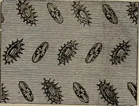 An illustration from Beautiful homes : or, Hints in house furnishing (1878)