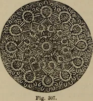 Picture 296 of 345 from Beautiful homes : or, Hints in house furnishing (1878), leaf 293