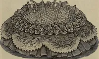 An illustration from Beautiful homes : or, Hints in house furnishing (1878)