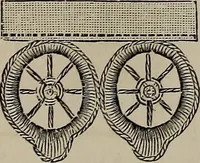 Picture 310 of 345 from Beautiful homes : or, Hints in house furnishing (1878), leaf 300