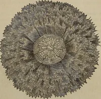 An illustration from Beautiful homes : or, Hints in house furnishing (1878)
