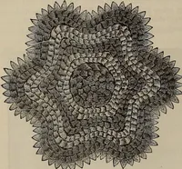 An illustration from Beautiful homes : or, Hints in house furnishing (1878)