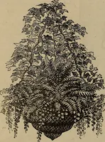 An illustration from Beautiful homes : or, Hints in house furnishing (1878)