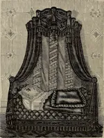 Picture 46 of 345 from Beautiful homes : or, Hints in house furnishing (1878), leaf 95