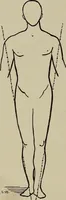 An illustration from Beauty of form and grace of vesture (1892)