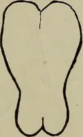 An illustration from Beauty of form and grace of vesture (1892)