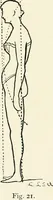 An illustration from Beauty of form and grace of vesture (1892)