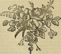 An illustration from Beaux-arts (1788)