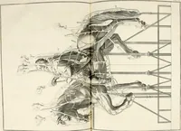 Picture 61 of 145 from Beaux-arts (1788), leaf 111