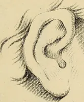Picture 76 of 145 from Beaux-arts (1788), leaf 132