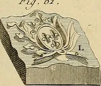 Picture 82 of 145 from Beaux-arts (1788), leaf 138