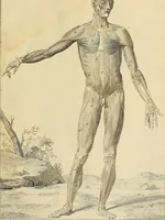 Picture 5 of 145 from Beaux-arts (1788), leaf 20