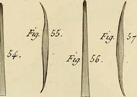 Picture 128 of 145 from Beaux-arts (1788), leaf 212