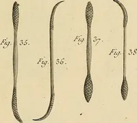 Picture 133 of 145 from Beaux-arts (1788), leaf 216