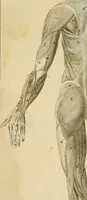 Picture 6 of 145 from Beaux-arts (1788), leaf 22
