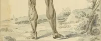 Picture 7 of 145 from Beaux-arts (1788), leaf 22