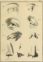 Picture 15 of 145 from Beaux-arts (1788), leaf 38