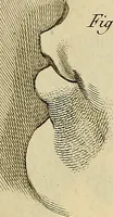 Picture 16 of 145 from Beaux-arts (1788), leaf 40