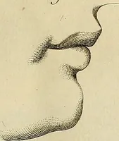 An illustration from Beaux-arts (1788)
