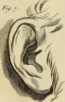Picture 17 of 145 from Beaux-arts (1788), leaf 40