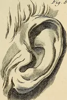 Picture 18 of 145 from Beaux-arts (1788), leaf 40