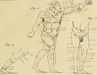 Picture 48 of 145 from Beaux-arts (1788), leaf 92