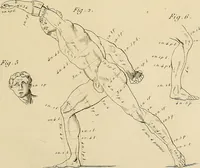 Picture 49 of 145 from Beaux-arts (1788), leaf 92