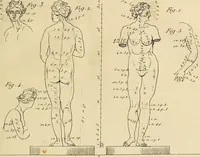 Picture 50 of 145 from Beaux-arts (1788), leaf 94