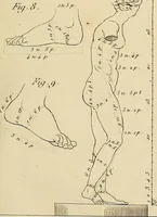 Picture 51 of 145 from Beaux-arts (1788), leaf 94