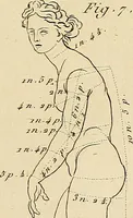 Picture 52 of 145 from Beaux-arts (1788), leaf 94