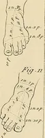 Picture 53 of 145 from Beaux-arts (1788), leaf 94