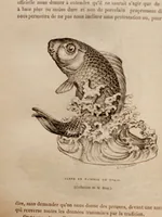 An illustration from Les beaux-arts décoratifs (1879)