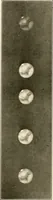 An illustration from A beginner's star-book; an easy guide to the stars and to the astronomical uses of the opera-glass, the field-glass and the telescope (1912)