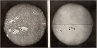 Picture 42 of 76 from A beginner's star-book; an easy guide to the stars and to the astronomical uses of the opera-glass, the field-glass and the telescope (1912), leaf 81