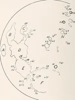 Picture 50 of 76 from A beginner's star-book; an easy guide to the stars and to the astronomical uses of the opera-glass, the field-glass and the telescope (1912), leaf 91